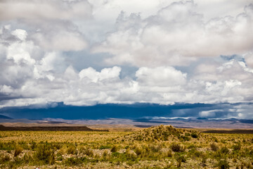 Desert and prairie of Bolivia. Landscapes of the LaPaz - Uyuni Road