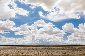 Desert and prairie of Bolivia. Landscapes of the LaPaz - Uyuni Road