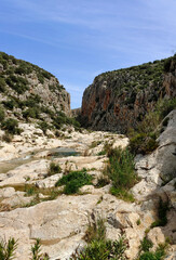 River in the mountains