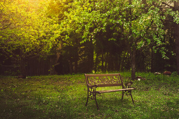 One wooden Bench isolated to rest in nature outdoors in pristine relaxation outdoors