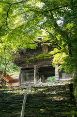 京都 夏の神護寺の山門ともみじの新緑
