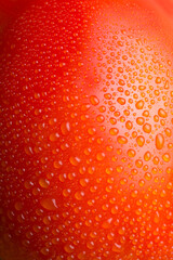 abstract of tomato surface with dew, red and orange tone berry surface with water drops background, wallpaper or backdrop, macro