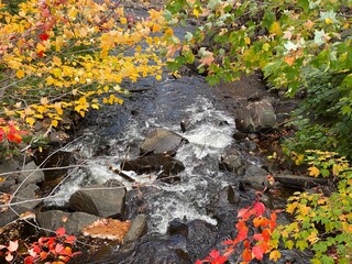 River in the Fall