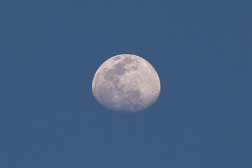 Naklejka na ściany i meble Day Moon