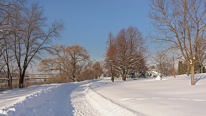 Groomed trail in the snow with bare and coniferous trees on a sunny winter day in Jean Drapeau park in Montreal, Quebec, Canada 
