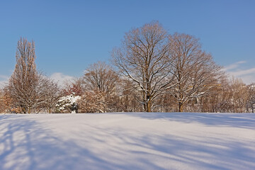 Jean Drapeau park in Montreal, covered in snow on a sunny winter day