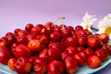 Ripe cherries in a round plate with daisies in the corner