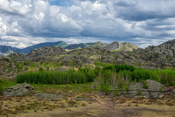 on a mountain peak, majestic stones and rocks, a green forest blowing in the wind at a height in...