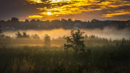 Fototapeta premium Foggy morning
