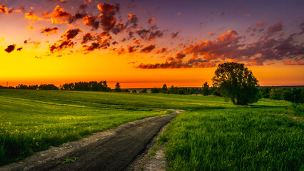 Country road in the evening