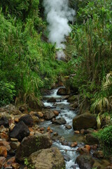 Hot spring on island of Dominica in the Caribbean