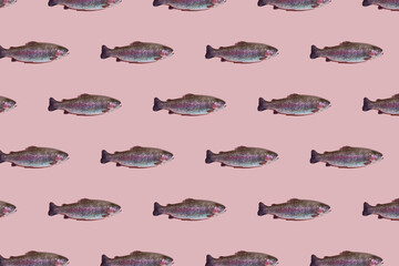 Seamless pattern of raw rainbow trout closeup isolated on pink background. Fish swim to the right.