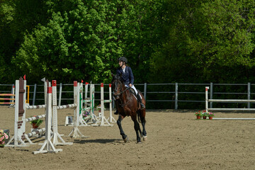 A young woman performs a sports race on a horse on a sunny summer day.