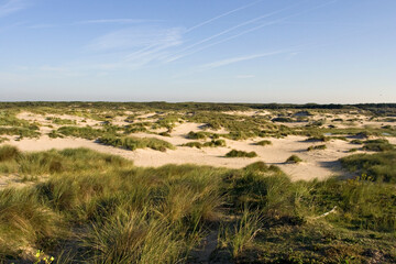 Dunes of Berkheide, Wassenaar, Netherlands