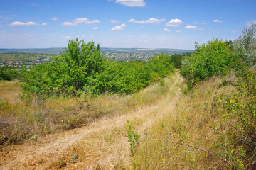 Fototapeta na wymiar Path in the grass in the countryside in Moldova.