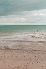 Seascape image of beach and turquoise sea in England, UK. Seagulls and birds on the water and beach. Moody cloudy sky above. Copy space available