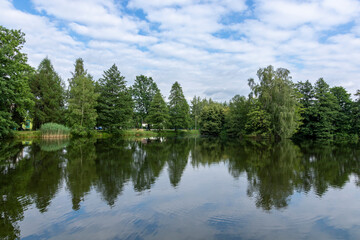 Fototapeta na wymiar Trees and clouds reflected in the pond