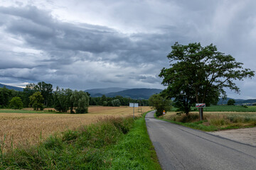 Fototapeta na wymiar Road between fields under dramatic skies