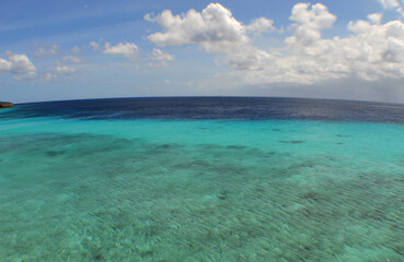 Fototapeta premium paradise beach , caribbean sea , curacao island