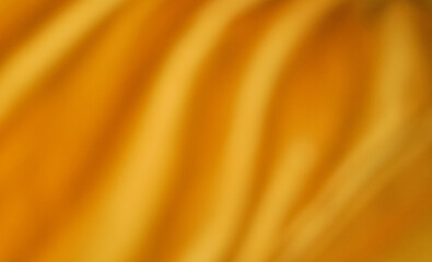 shiny golden textured background and wallpaper copy space