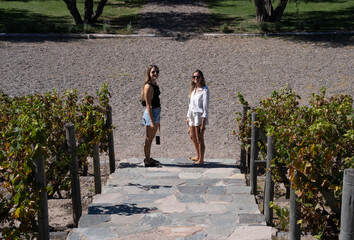 Portrait of two young woman in the vineyard. 