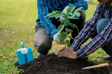 A man is planting a tree and so it grows. Increase oxygen in the air, save the world, save lives...