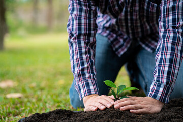 A man is planting a tree and so it grows. Increase oxygen in the air, save the world, save lives...