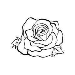 Black line doodle Rose. Hand drawn cartoon style. Vector illustration for decorate, coloring and any design.
