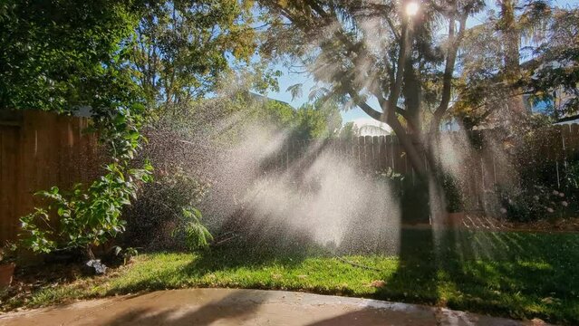 Sprinklers watering yard with mist being illuminated by the sun