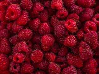 Beautiful, ripe, red raspberries close-up. Fresh berries.