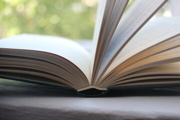 Open book over abstract light background. Education and wisdom concept