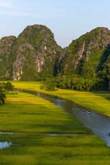 Yellow rice field on Ngo Dong river in Tam Coc Bich Dong from mountain top view in Ninh Binh, Viet Nam