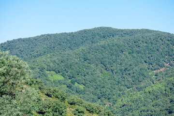 Scenic view of Mountains, The Mediterranean Sea and dense Forests from Skikda, Algeria