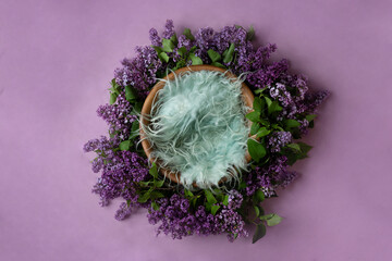 basket for a photo shoot, decorated with lilac flowers. newborn photography furniture on purple...