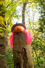 Halloween Trail, Ecclesall Woods, Sheffield, UK.