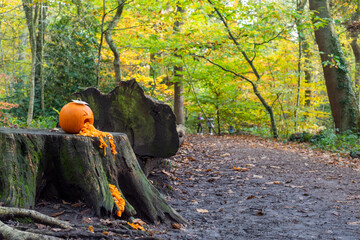 Halloween Trail, Ecclesall Woods, Sheffield, UK.