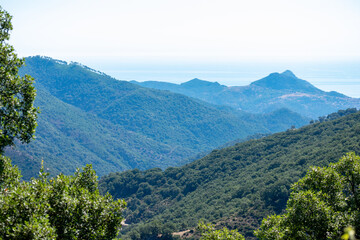 Fototapeta na wymiar Scenic view of Mountains, The Mediterranean Sea and dense Forests from Skikda, Algeria