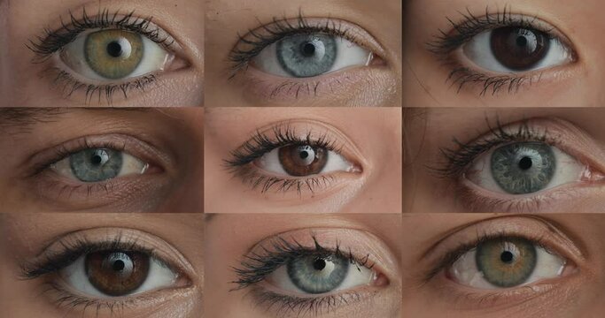 Eye close-up collage. Eyes of people of different nationalities looking at the camera. Blue, green and brown iris.