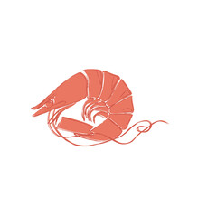 Shrimp Design Very Cool