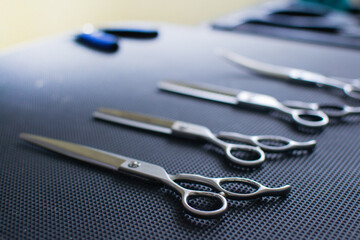 Tool for the groomer on a black background. Dog grooming accessories and scissors for cutting animals. View from the side. Stock photo