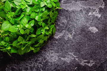 Basil bush on a dark table