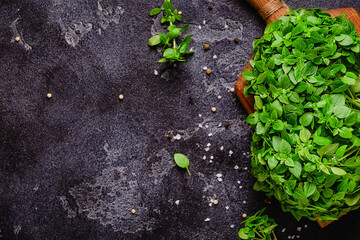 Cooking background with basil and different spices