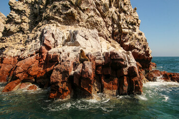 Ballestas Islands, Paracas, National Reserve Park