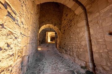 Italy, July 2022: architectural and naturalistic details on the island of San Nicola in the...