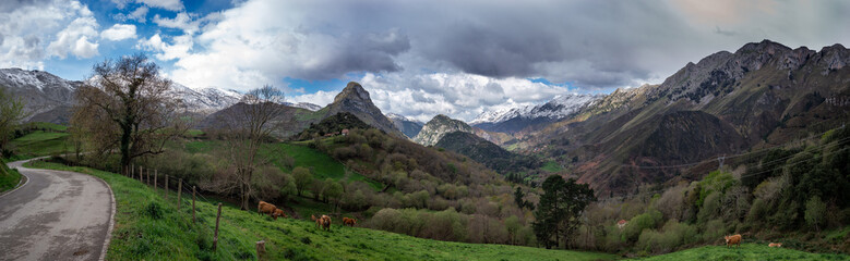 Naturaleza, Asturias, Ecologia