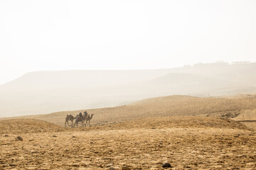 The pyramids at Giza, together with the Sphinx and smaller tombs, are among the most significant...
