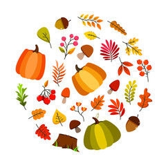 Collection of vector Autumn elements isolated on white. Fall clip art design with pumpkins, autumn leaves, mushrooms, berries, acorns