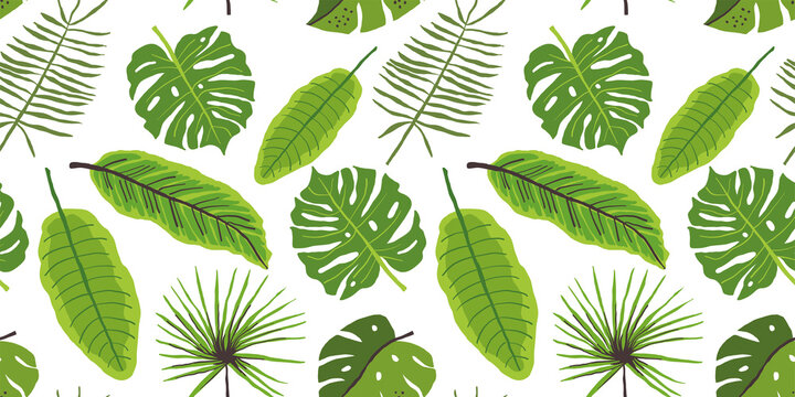 Tropical pattern with banana leaves on white. Vector seamless tropical pattern, summer vibes