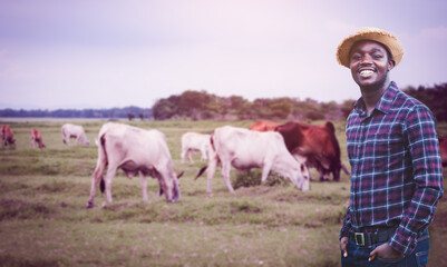 African herdsman controls a herd of cows that are grazing