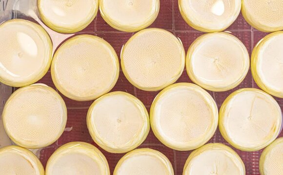 top view of group of fresh artichokes hearts in plastic bowl